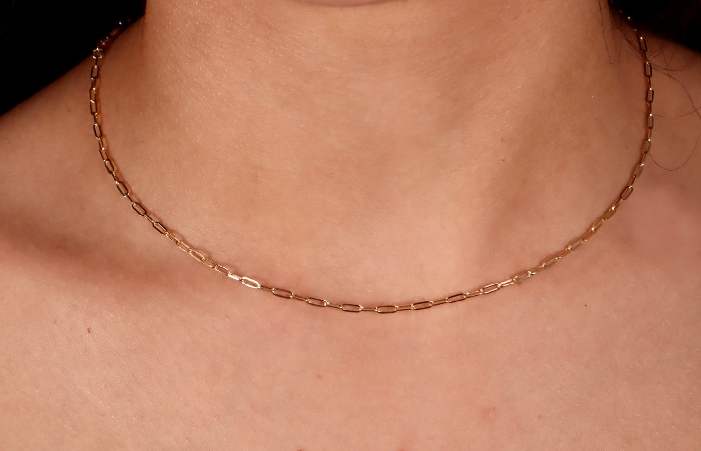 14k Gold Paperclip Necklace