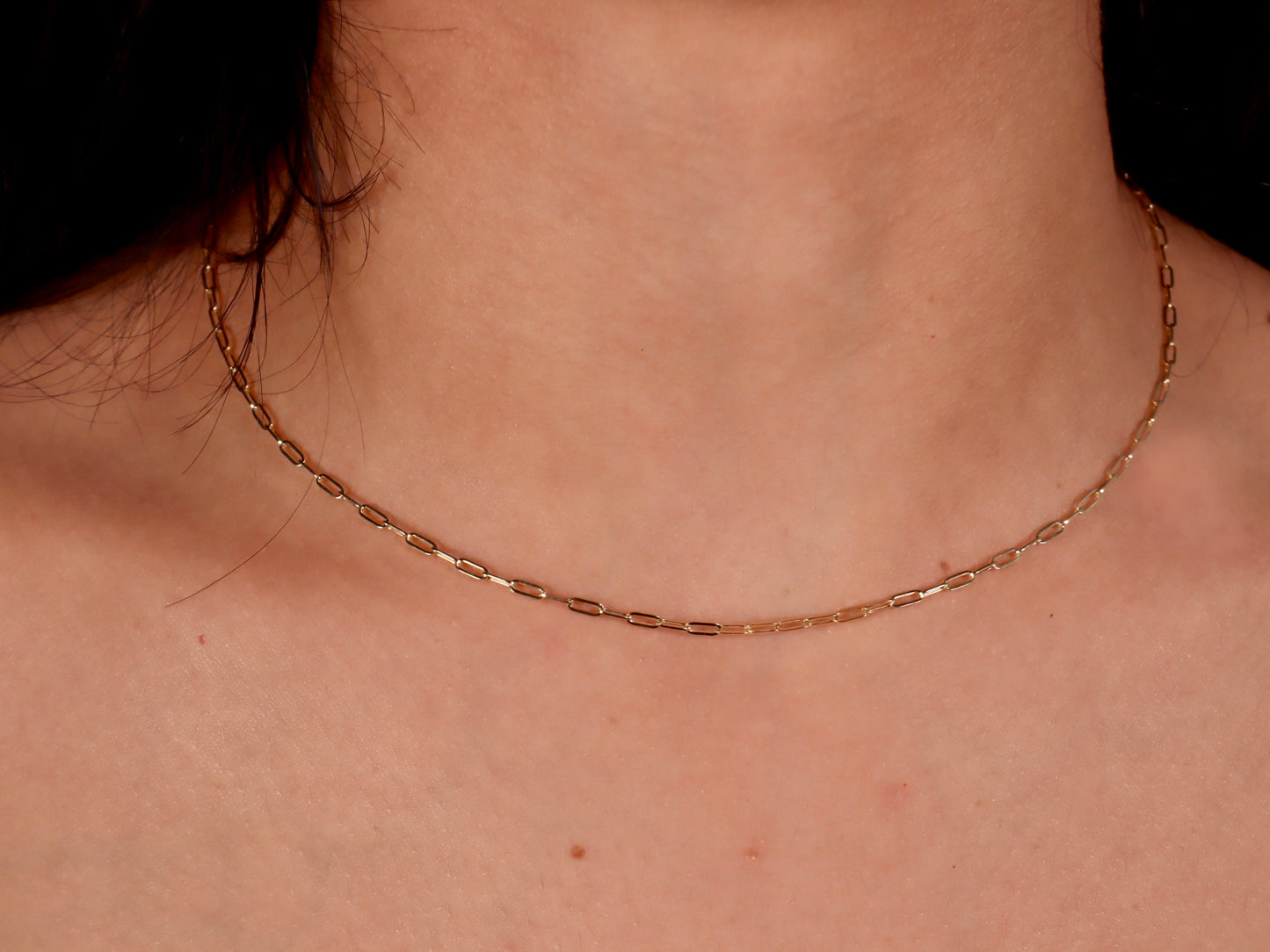 14k Gold Paperclip Necklace