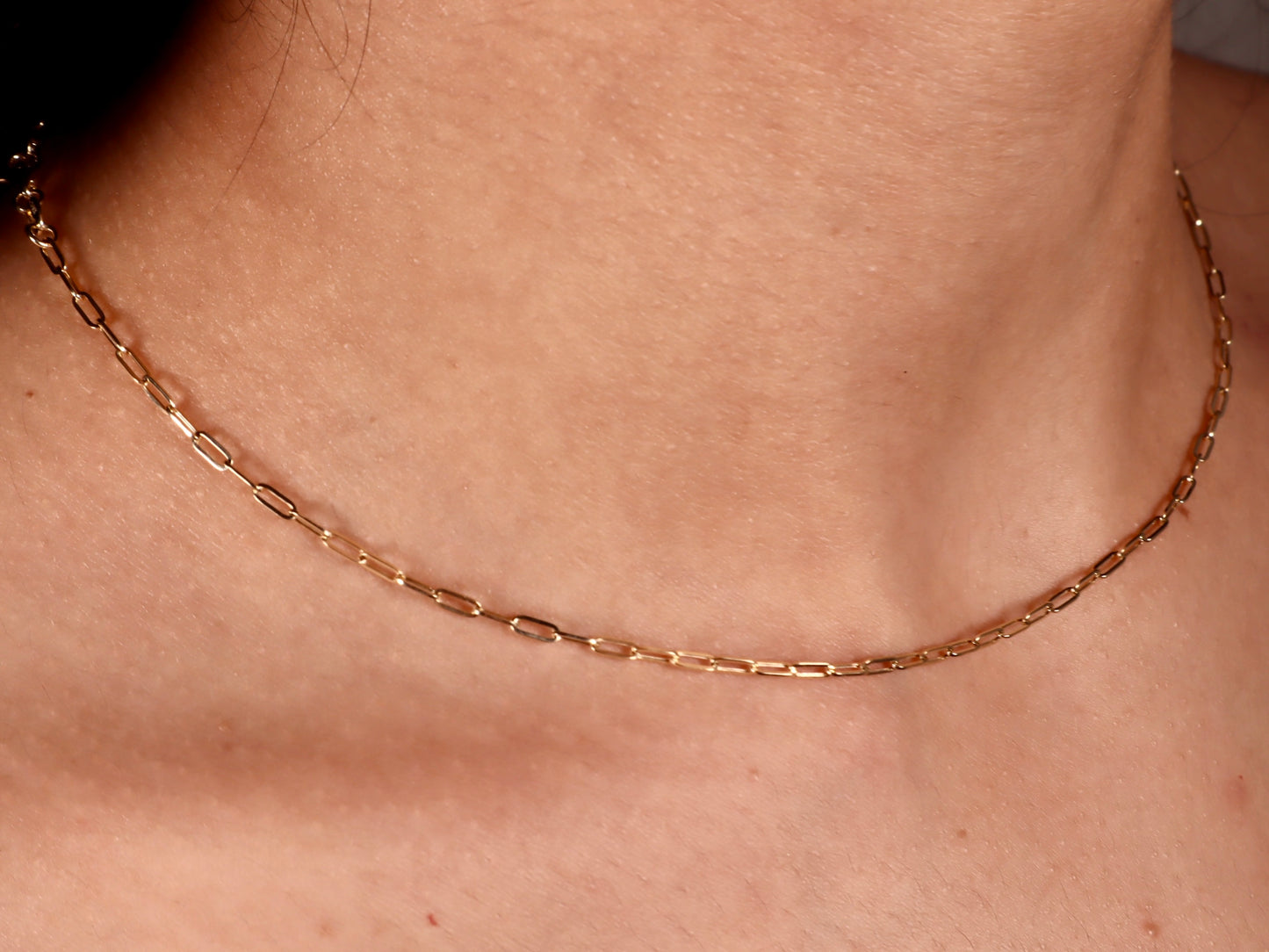 14k Gold Paperclip Necklace